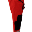 pant. late